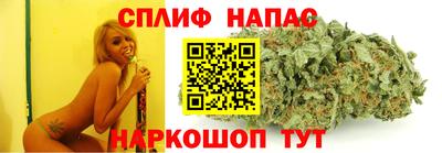 МДПВ Тара