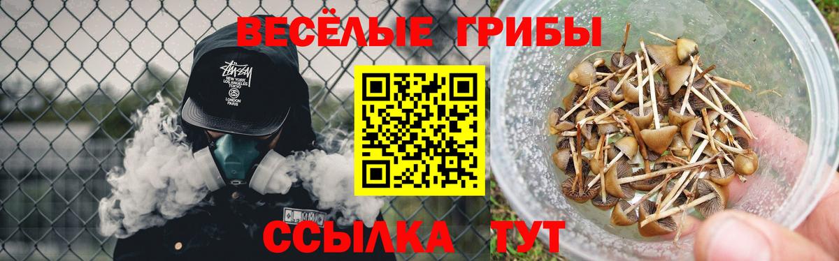 закладки  Псилоцибиновые грибы мицелий  Вход с VPN  Ярцево 